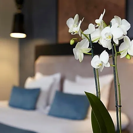 Hotel No. 377 House 3*