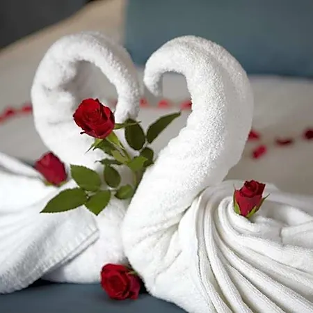 No. 377 House Hotel 3*
