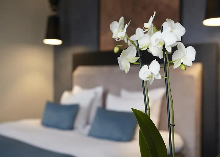 No. 377 House 3* Amsterdam